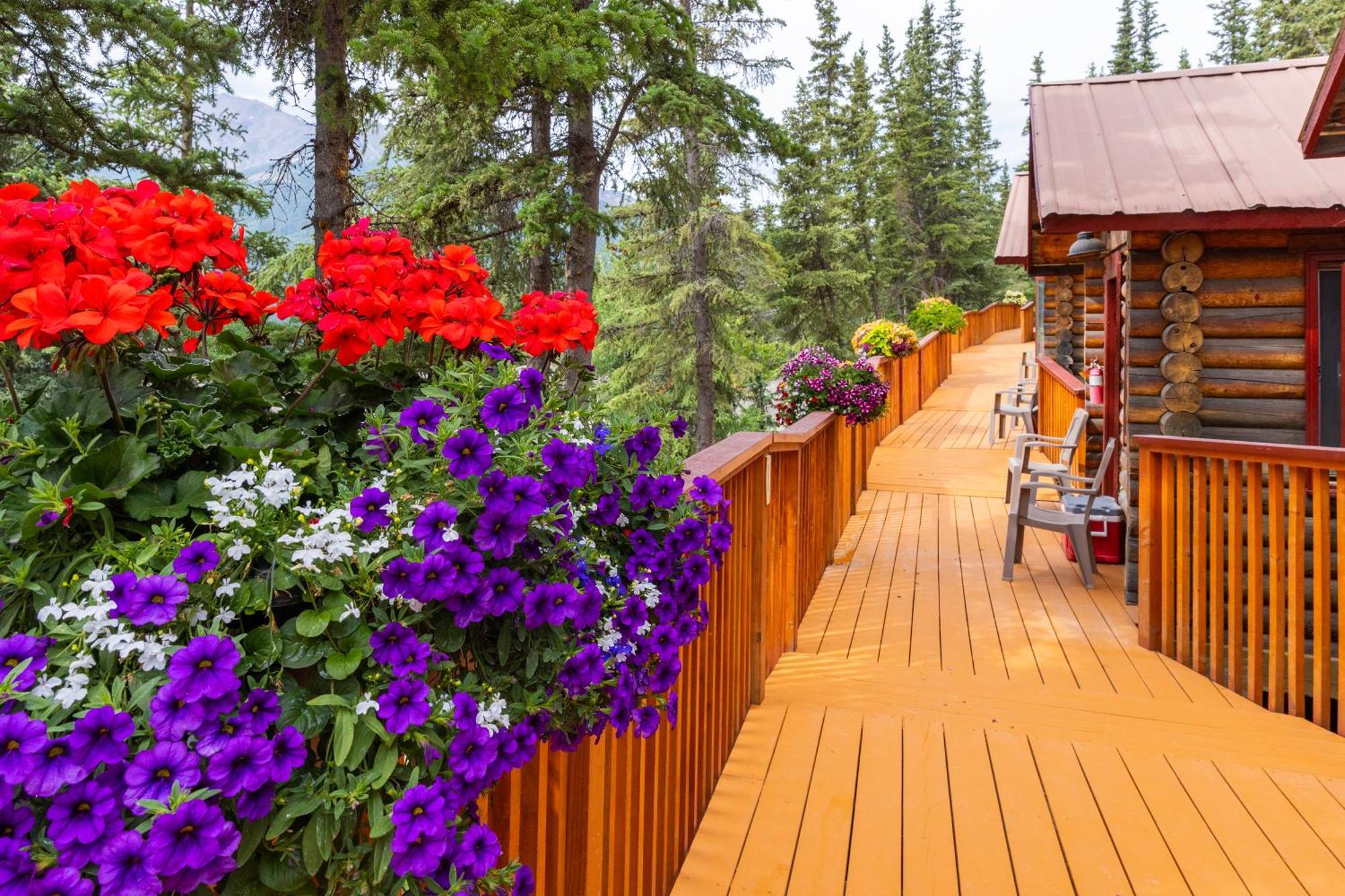 Denali Crow'S Nest Cabins Denali Park Luaran gambar