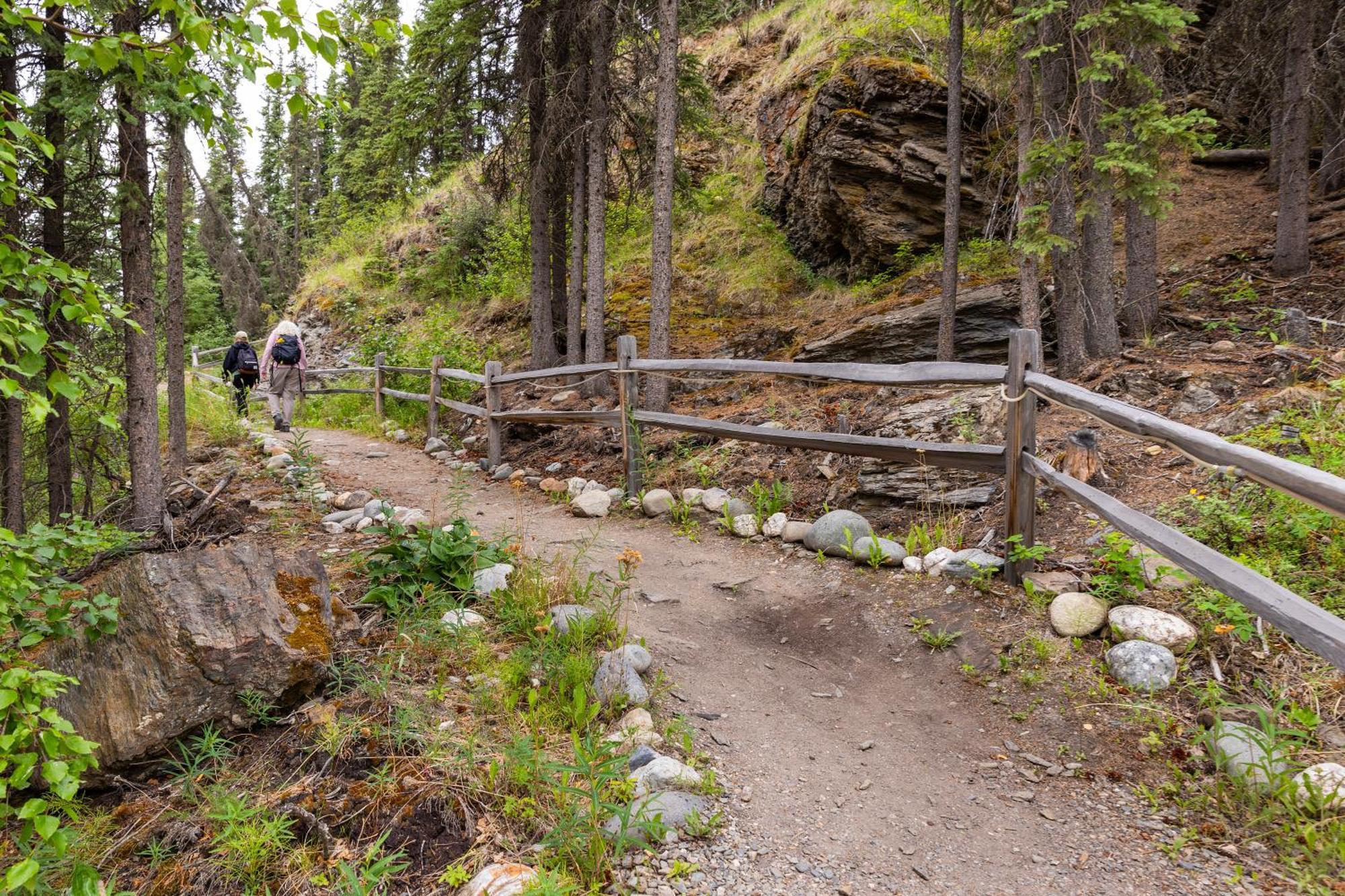 Denali Crow'S Nest Cabins Denali Park Luaran gambar