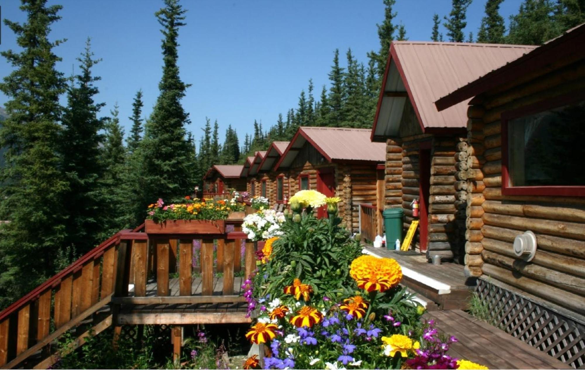 Denali Crow'S Nest Cabins Denali Park Luaran gambar